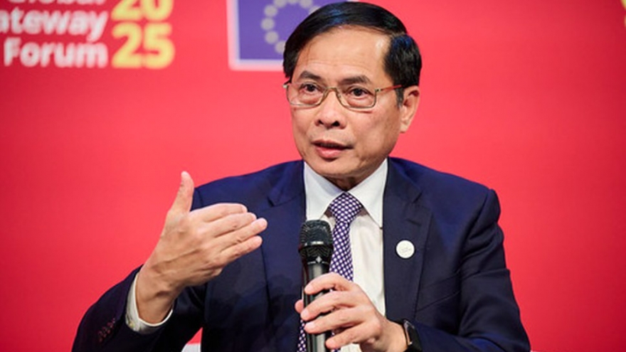 Vietnam calls for adaptation and cooperation in shifting global landscape